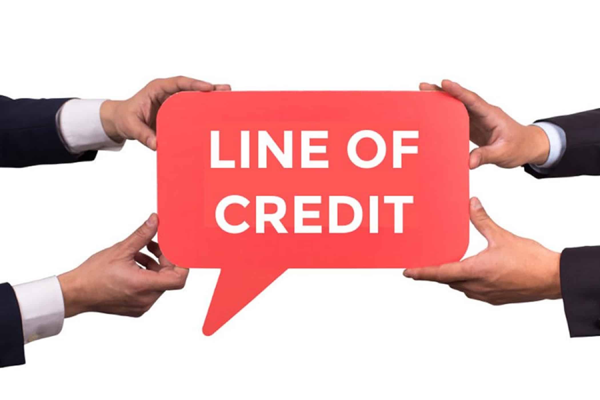 What are the Different Business Lines of Credit, and Which One is Best for Your Business?