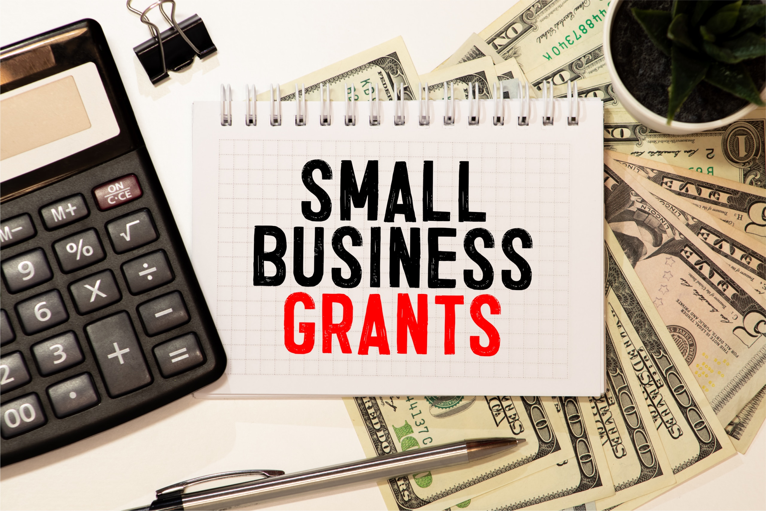 Private Small Business Grants in 2024