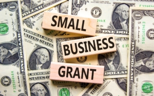 Government small business grants